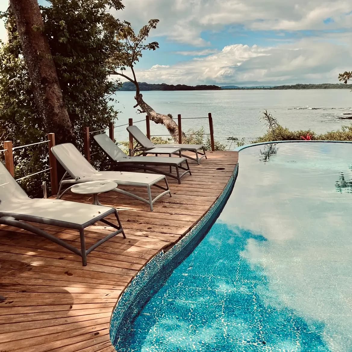 Infinity pool overlooking the ocean at Selva Terra