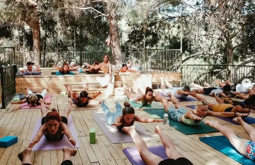 A yoga class in locust pose on the outdoor timber shala beneath the pines at Çeşmeköy