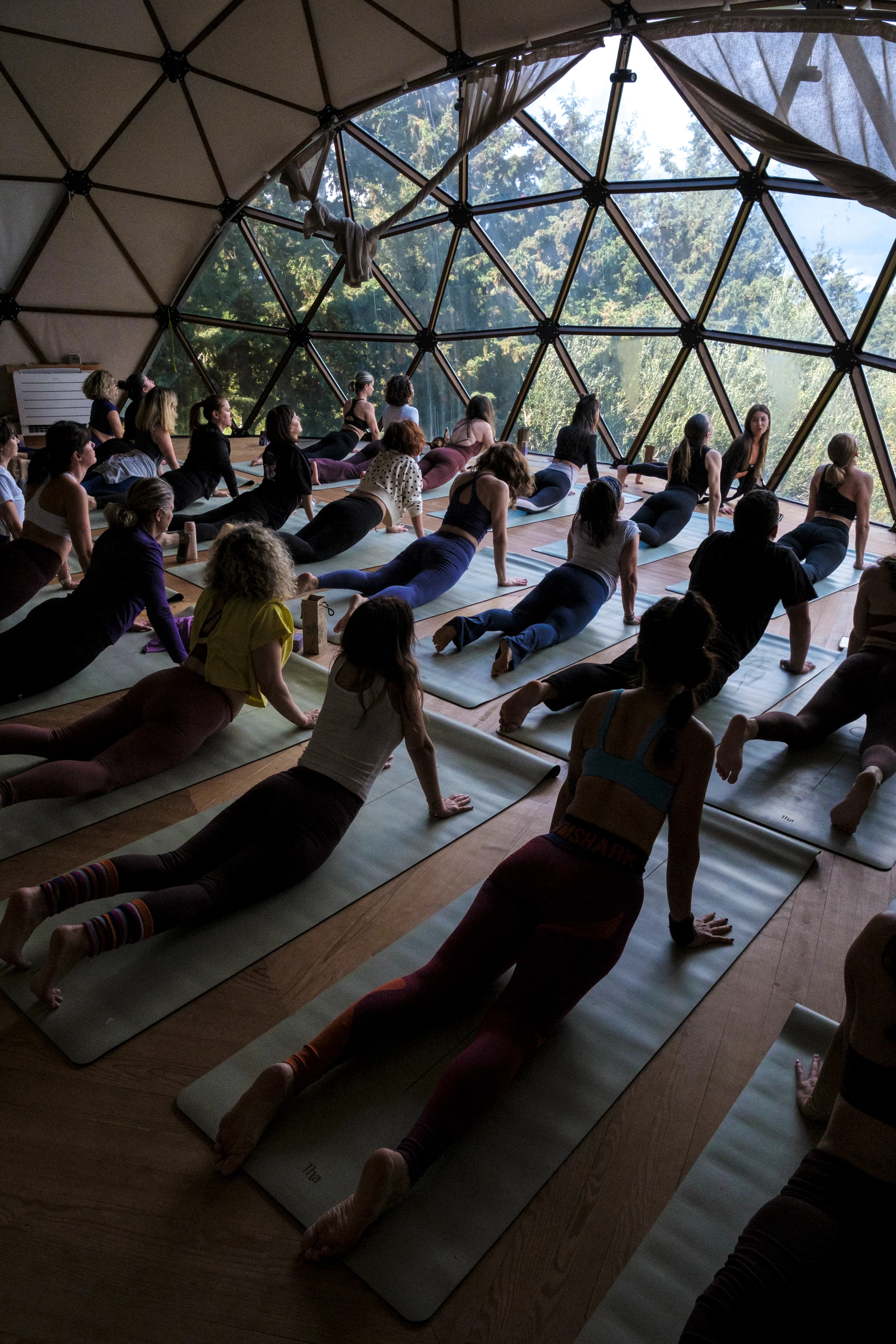 Upward dog in the yoga dome at Çeşmeköy, with the forest visible through the glass